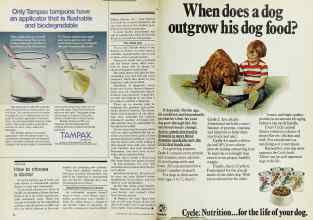 Better Homes & Gardens February 1978 Magazine Article: Page 84