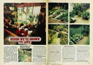 Better Homes & Gardens February 1978 Magazine Article: HERBS WE'VE GROWN TO LOVE