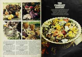 Better Homes & Gardens February 1978 Magazine Article: Page 124