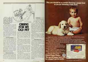 Better Homes & Gardens February 1978 Magazine Article: Page 170