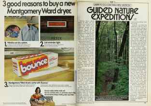 Better Homes & Gardens February 1978 Magazine Article: Page 174