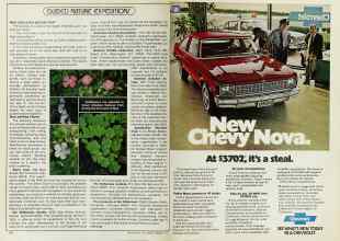 Better Homes & Gardens February 1978 Magazine Article: Page 176