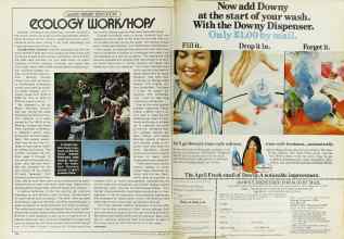 Better Homes & Gardens February 1978 Magazine Article: Page 184