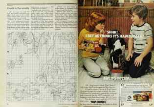 Better Homes & Gardens February 1978 Magazine Article: Page 196