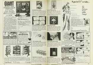 Better Homes & Gardens February 1978 Magazine Article: Page 204