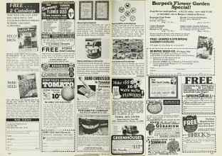 Better Homes & Gardens February 1978 Magazine Article: Page 210