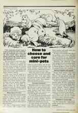 Better Homes & Gardens March 1978 Magazine Article: How to choose and care for mini-pets