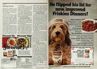 Better Homes & Gardens March 1978 Magazine Article: Page 52