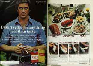 Better Homes & Gardens March 1978 Magazine Article: Page 74