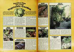 Better Homes & Gardens March 1978 Magazine Article: Surefire Tips for your Vegetable Garden