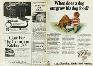 Better Homes & Gardens March 1978 Magazine Article: Page 162