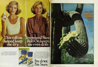 Better Homes & Gardens March 1978 Magazine Article: Page 180