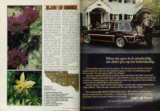 Better Homes & Gardens March 1978 Magazine Article: Page 182