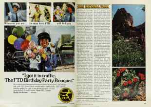 Better Homes & Gardens March 1978 Magazine Article: Page 184