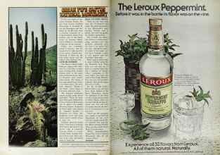 Better Homes & Gardens March 1978 Magazine Article: Page 186