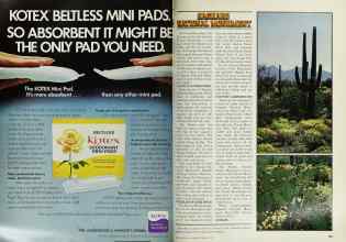 Better Homes & Gardens March 1978 Magazine Article: Page 188