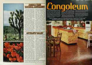 Better Homes & Gardens March 1978 Magazine Article: Page 190