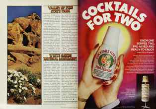 Better Homes & Gardens March 1978 Magazine Article: Page 194