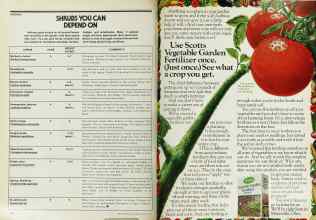 Better Homes & Gardens March 1978 Magazine Article: Page 206