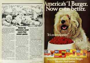 Better Homes & Gardens March 1978 Magazine Article: Page 208