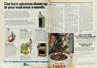 Better Homes & Gardens March 1978 Magazine Article: Page 210