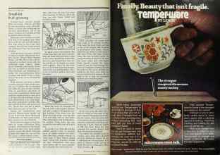 Better Homes & Gardens March 1978 Magazine Article: Page 214