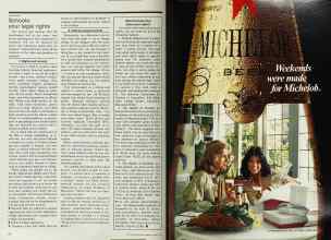 Better Homes & Gardens April 1978 Magazine Article: Page 20