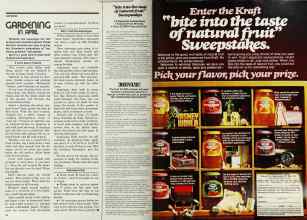 Better Homes & Gardens April 1978 Magazine Article: Page 22