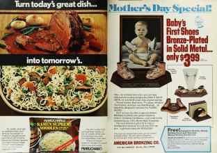 Better Homes & Gardens April 1978 Magazine Article: Page 24