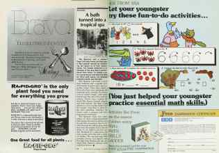 Better Homes & Gardens April 1978 Magazine Article: Page 38