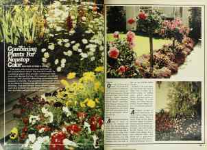 Better Homes & Gardens April 1978 Magazine Article: Combining Plants For Nonstop Color