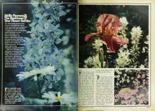 Better Homes & Gardens April 1978 Magazine Article: Page 136