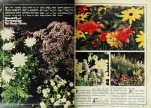 Better Homes & Gardens April 1978 Magazine Article: Page 138
