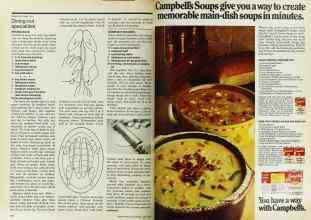 Better Homes & Gardens April 1978 Magazine Article: Page 148