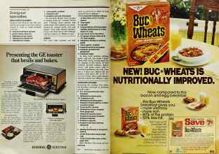 Better Homes & Gardens April 1978 Magazine Article: Page 156