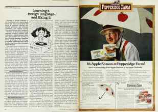 Better Homes & Gardens April 1978 Magazine Article: Page 184