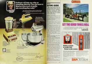 Better Homes & Gardens April 1978 Magazine Article: Page 202