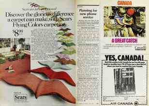 Better Homes & Gardens April 1978 Magazine Article: Page 204