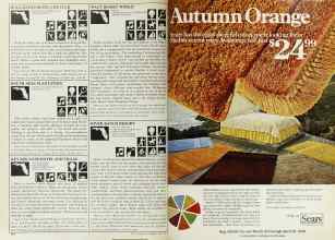 Better Homes & Gardens April 1978 Magazine Article: Page 224