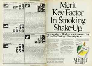 Better Homes & Gardens April 1978 Magazine Article: Page 228