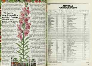 Better Homes & Gardens April 1978 Magazine Article: Page 234