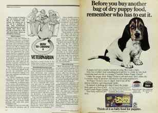 Better Homes & Gardens April 1978 Magazine Article: Page 240