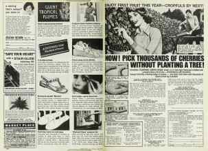 Better Homes & Gardens April 1978 Magazine Article: Page 246