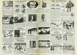 Better Homes & Gardens April 1978 Magazine Article: Page 250