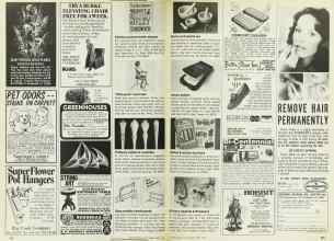 Better Homes & Gardens April 1978 Magazine Article: Page 254