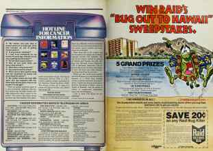 Better Homes & Gardens May 1978 Magazine Article: Page 42