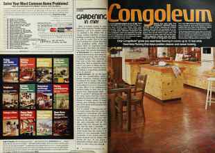 Better Homes & Gardens May 1978 Magazine Article: Page 48