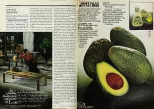 Better Homes & Gardens May 1978 Magazine Article: Page 74