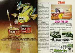 Better Homes & Gardens May 1978 Magazine Article: Page 80