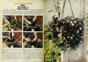 Better Homes & Gardens May 1978 Magazine Article: Page 134